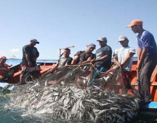 pesca