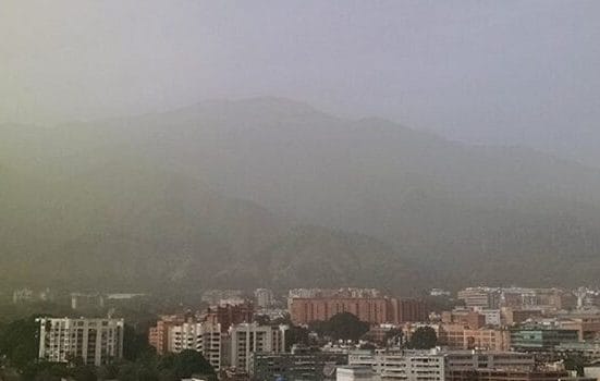 polvo